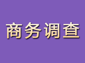 郾城商务调查